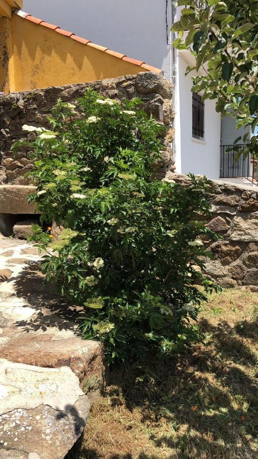 Navasequilla Casa Sierra De Gredos 게스트하우스 외부 사진