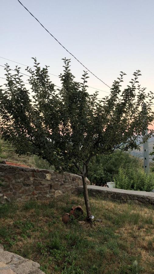 Navasequilla Casa Sierra De Gredos 게스트하우스 외부 사진